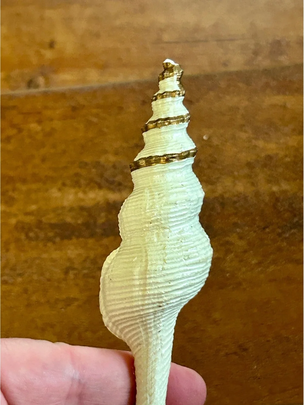 Decorative Seashell Ornament with Pearls and Gold Accents